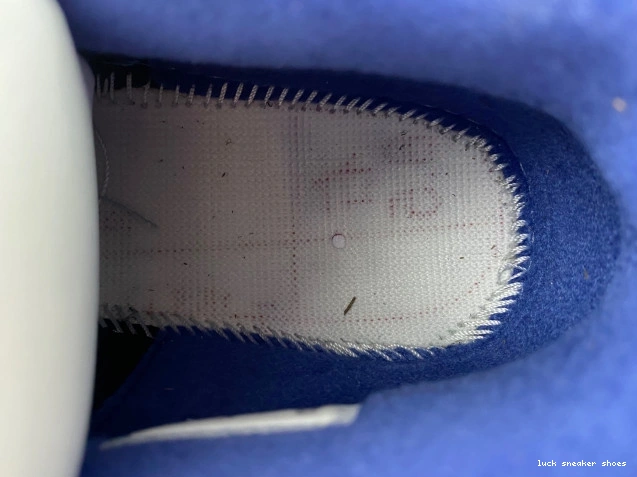 Reps LUCY Jordan 4 Air FV5029-003 Air Rare 0718